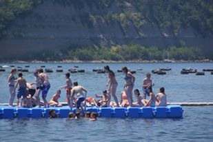 11709727_440556502771552_153651314902144281_n